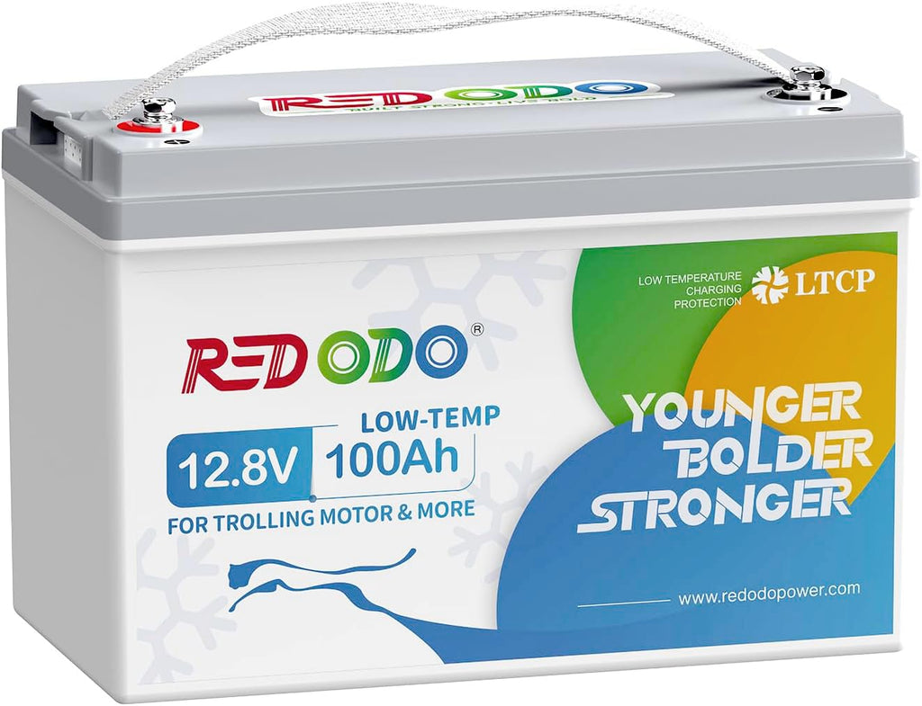 12V 100Ah LiFePO4 Deep Cycle Battery C290133