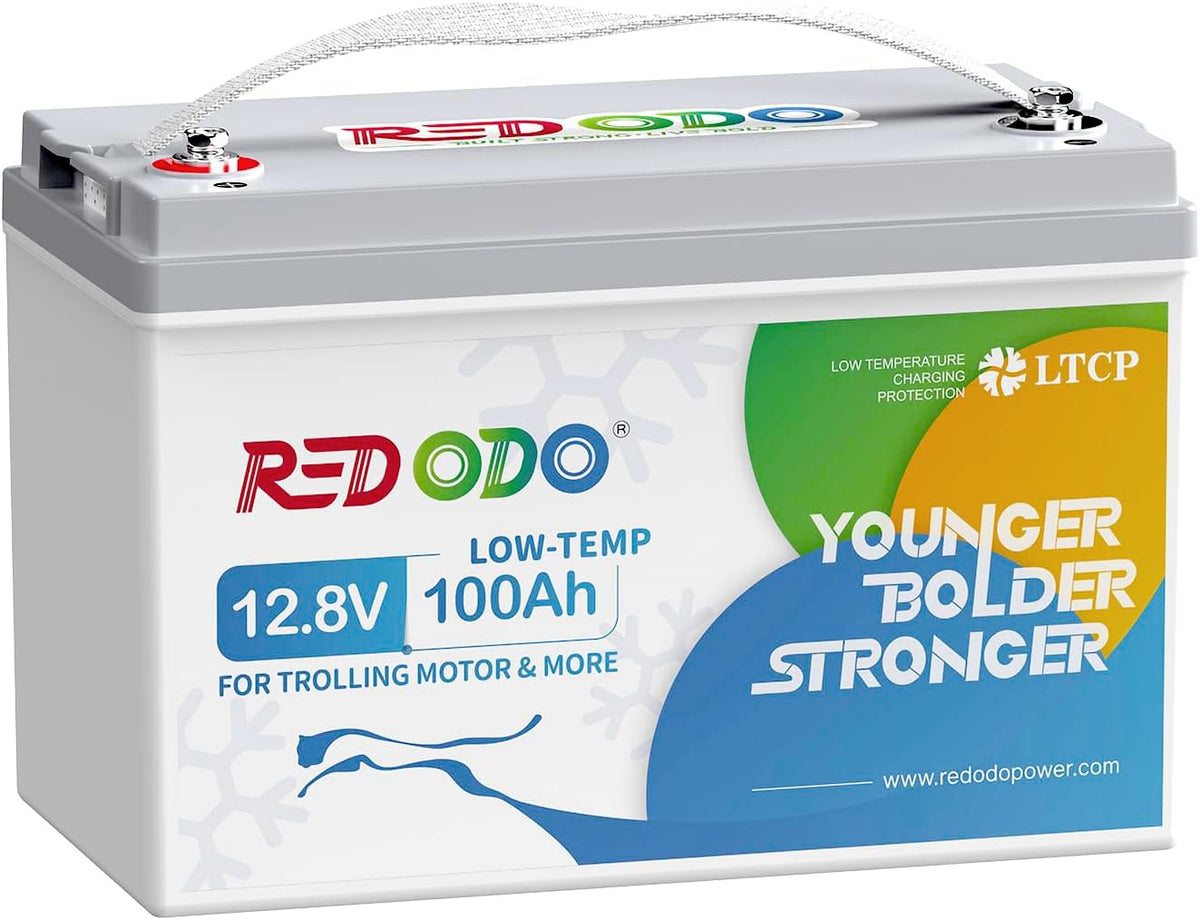 12V 100Ah LiFePO4 Deep Cycle Battery C290133