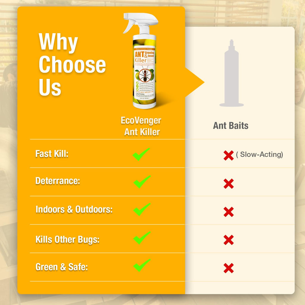 Plant-Based Insect Spray 16 OZ P676149