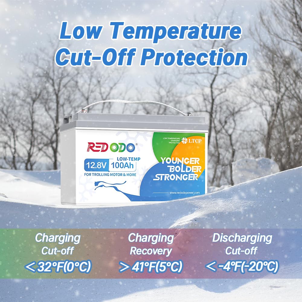 12V 100Ah LiFePO4 Deep Cycle Battery C290133