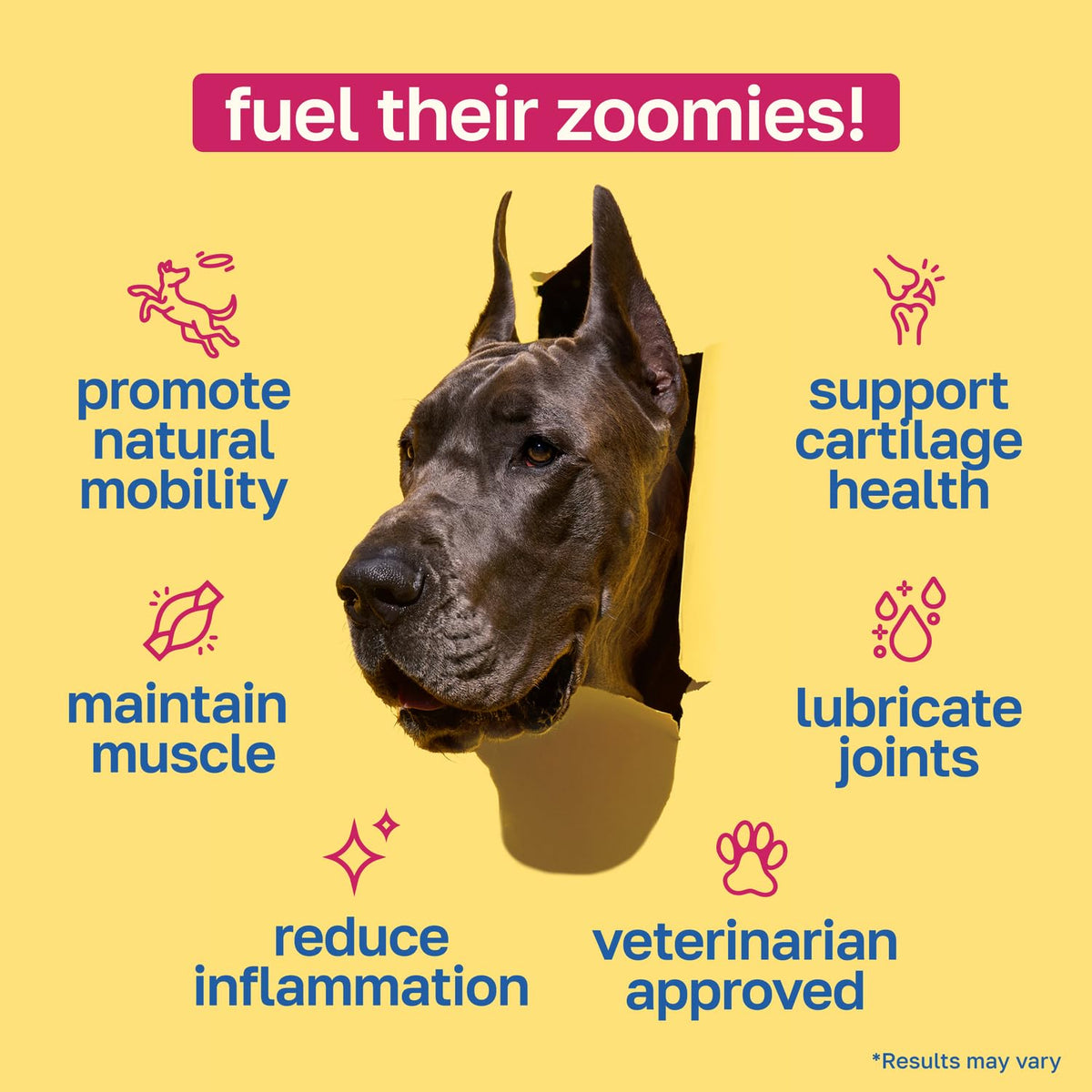 Hip and Joint Supplement for Dogs, 200 Soft Chews D2668