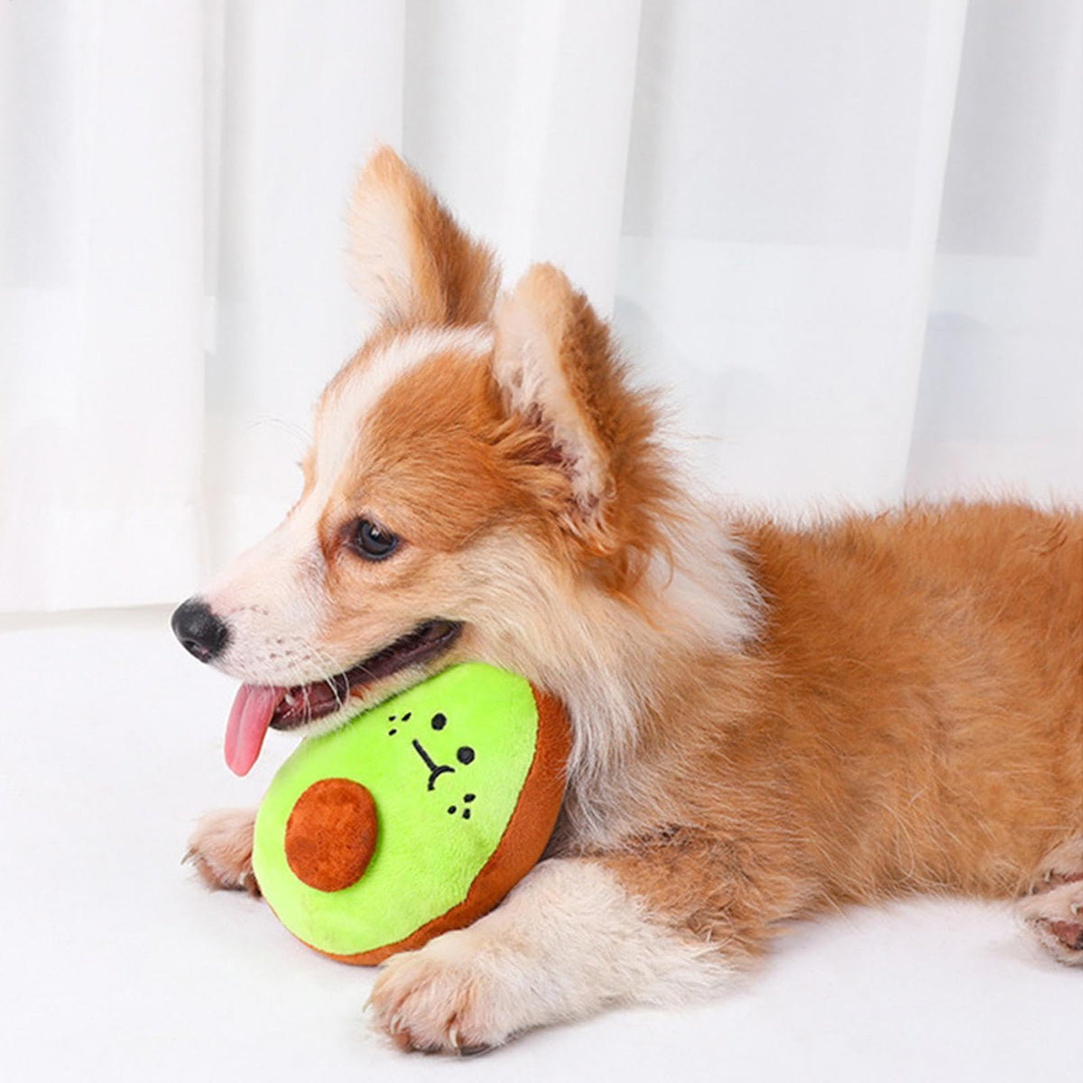 Bite Resistant Squeaky Stuffed Dog Toys H2330