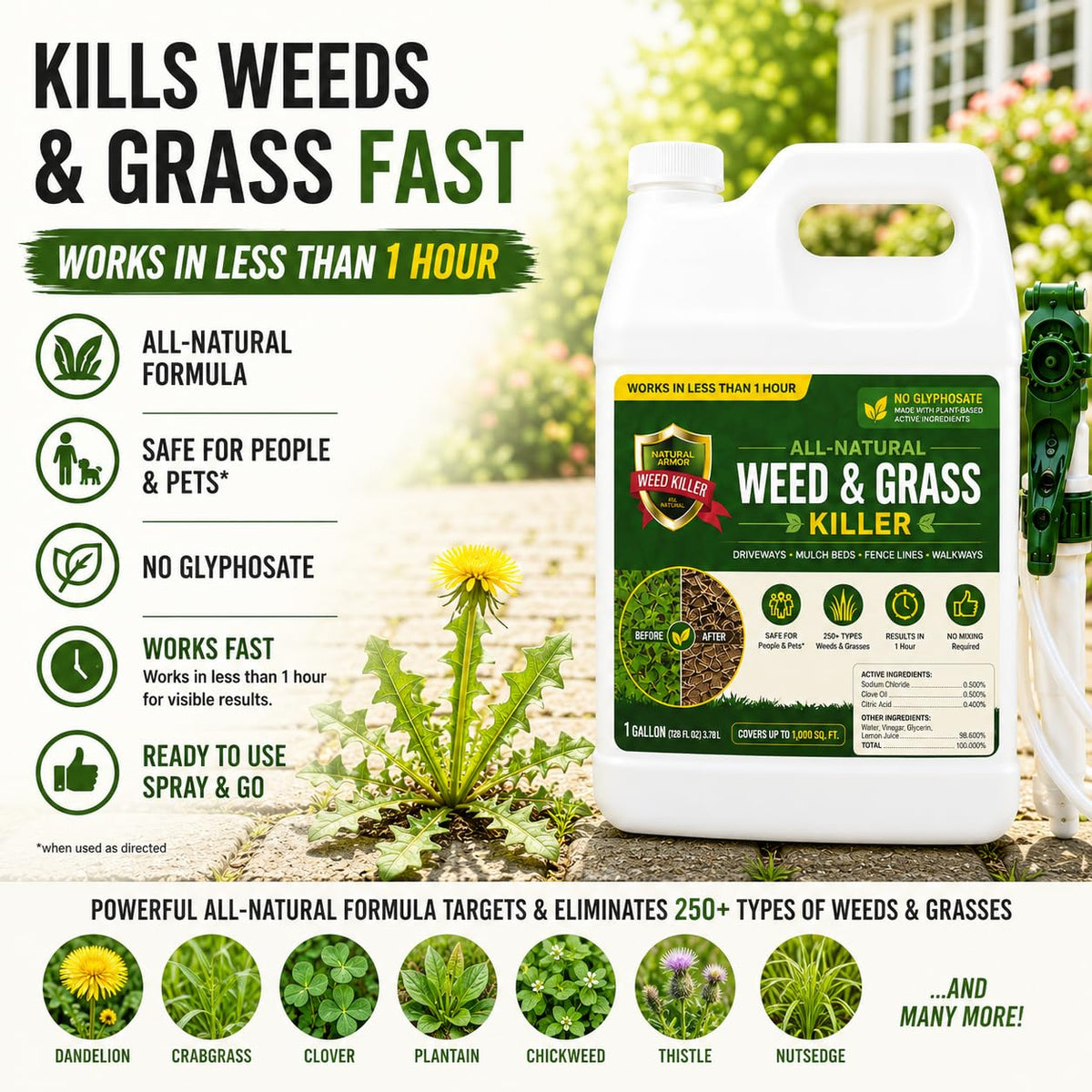Weed & Grass Killer 1 Gallon with Sprayer H953