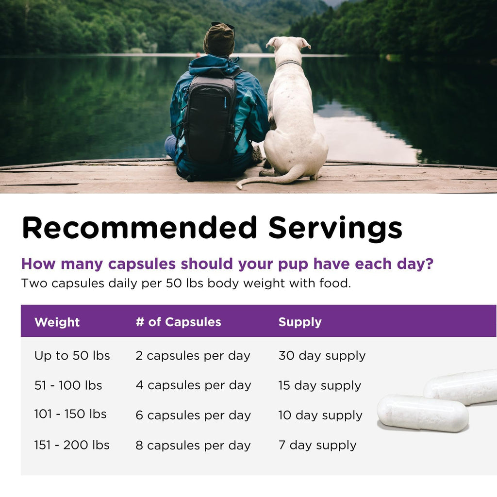 Probiotics for Dogs 60 Count R747