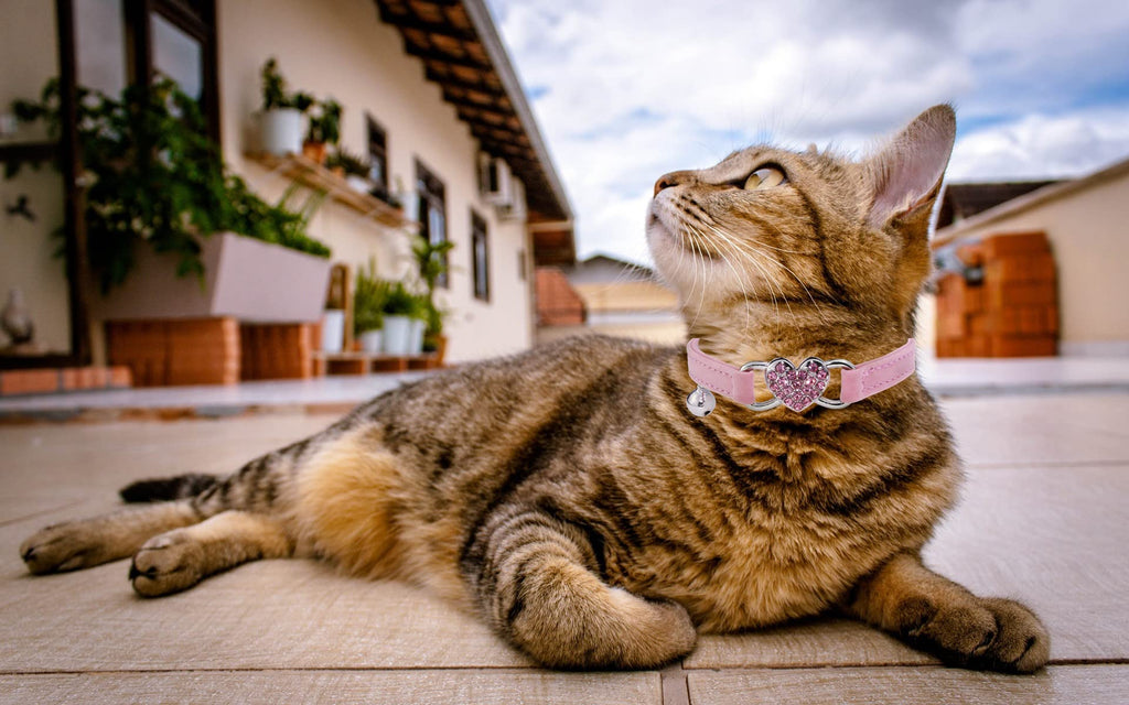 Pink Cat Collar with Safety Belt and Bell D30904