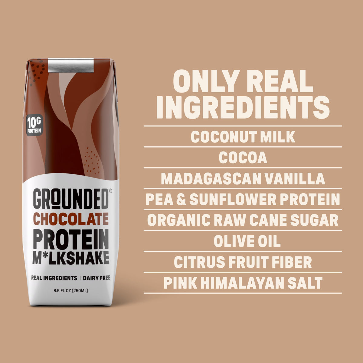 Chocolate Milk, Dairy Free, 10g Protein, 8.5 fl oz, 12 Pack V94340