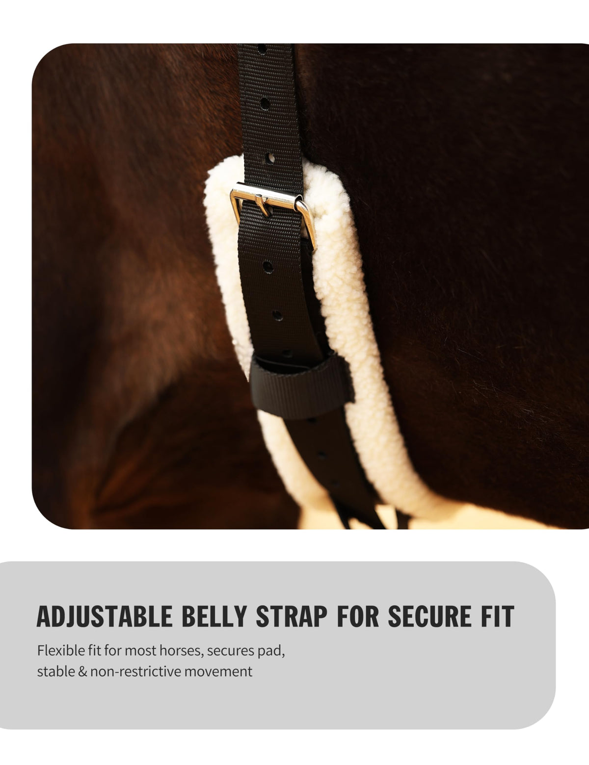 Western Bareback Pad with Girth T8091