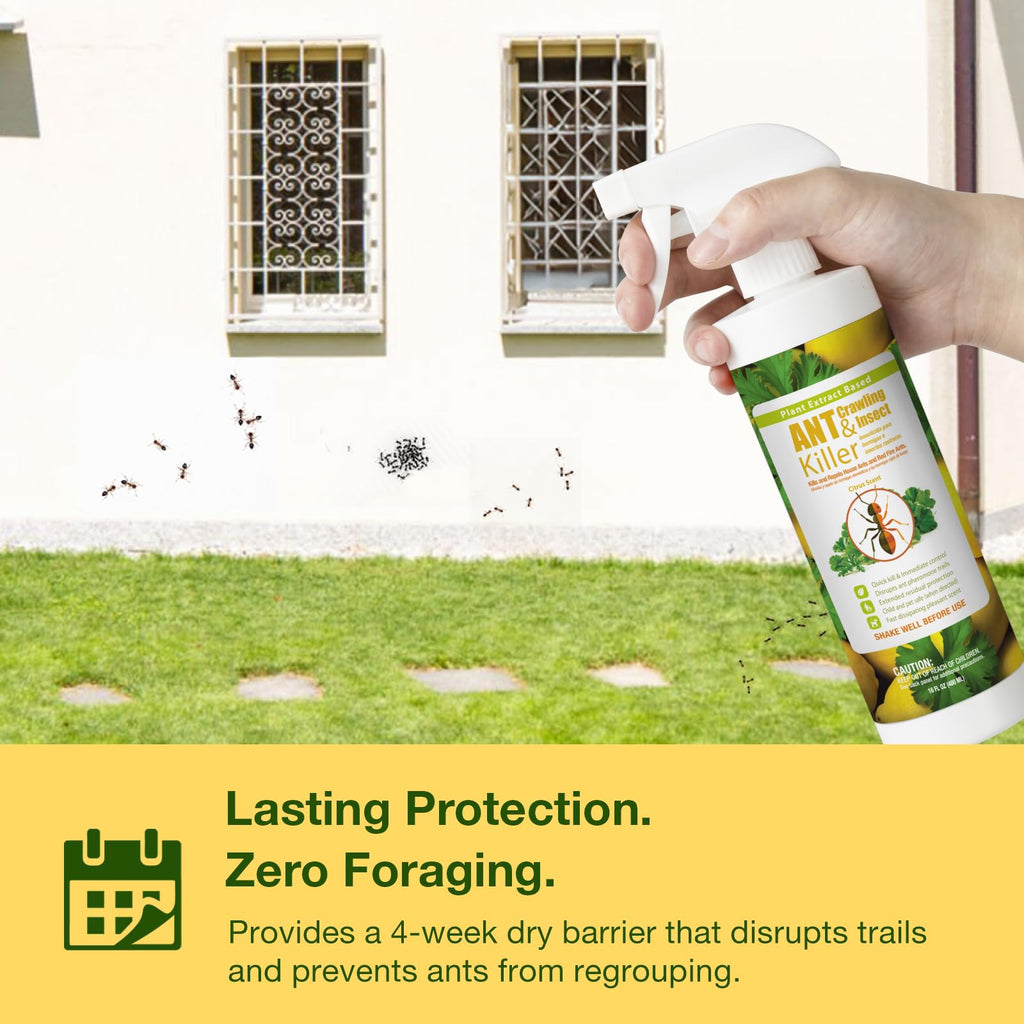 Plant-Based Insect Spray 16 OZ P676149
