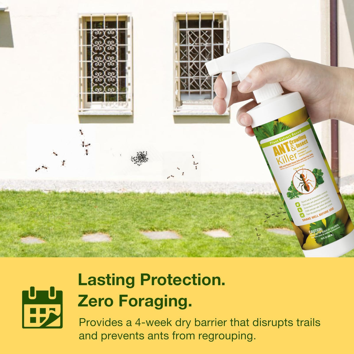 Plant-Based Insect Spray 16 OZ P676149