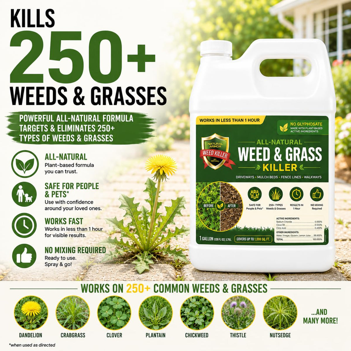 Weed & Grass Killer 1 Gallon with Sprayer H953