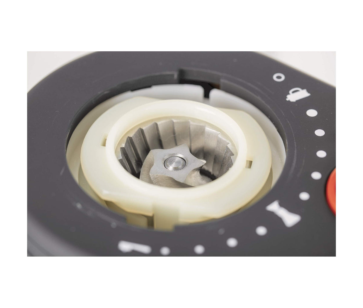Stainless Steel Conical Burr Grinder A84040