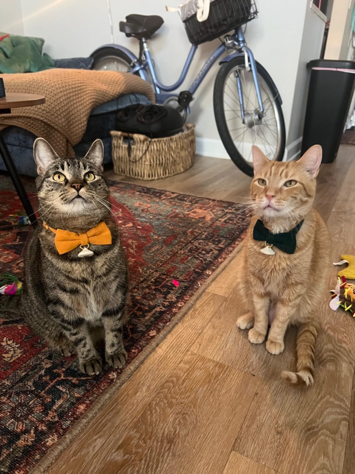 2 Pack Soft Corduroy Cat Collars with Bow Tie & Bell M498723