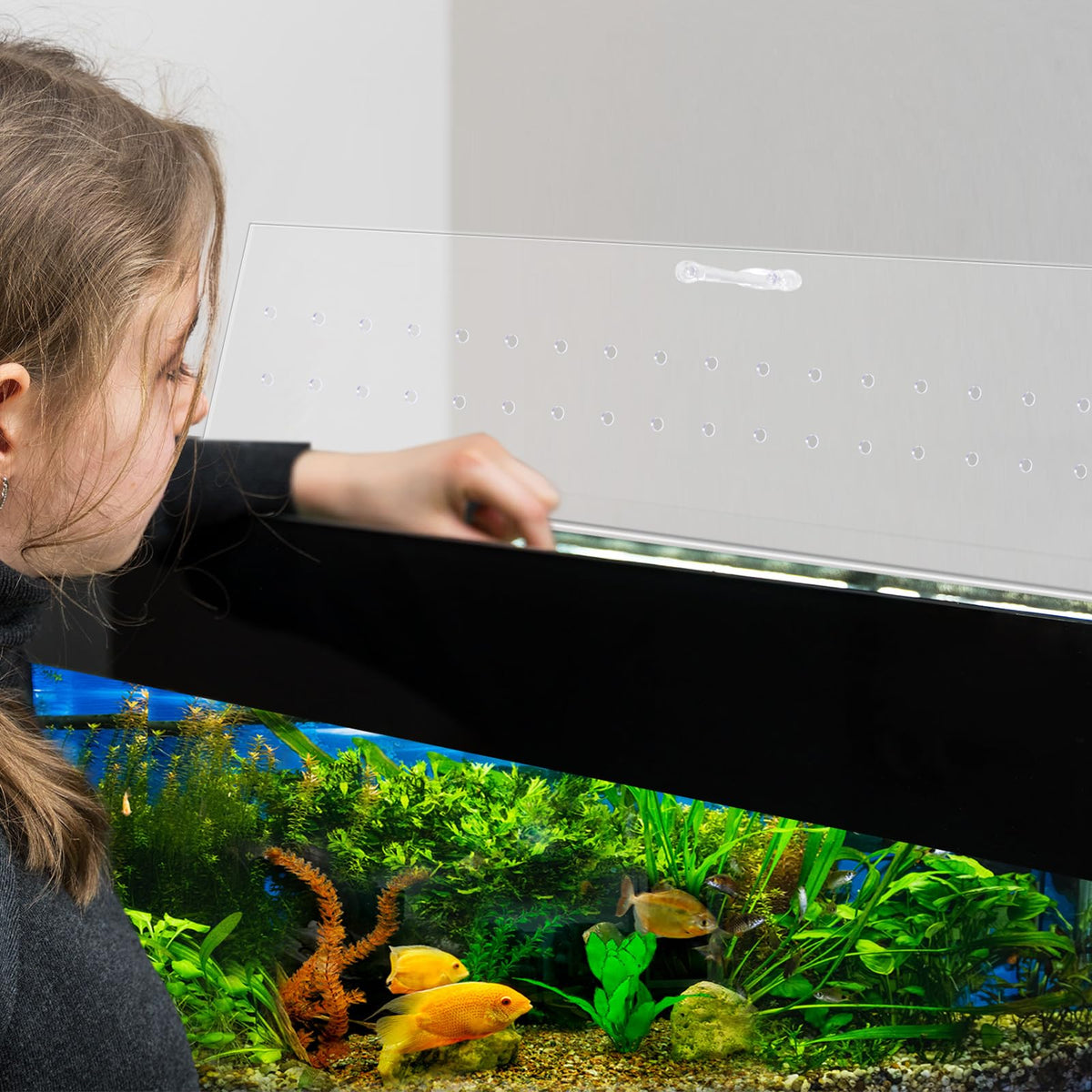 Clear Polycarbonate Aquarium Canopy Set 2 Pcs with Handle I11196