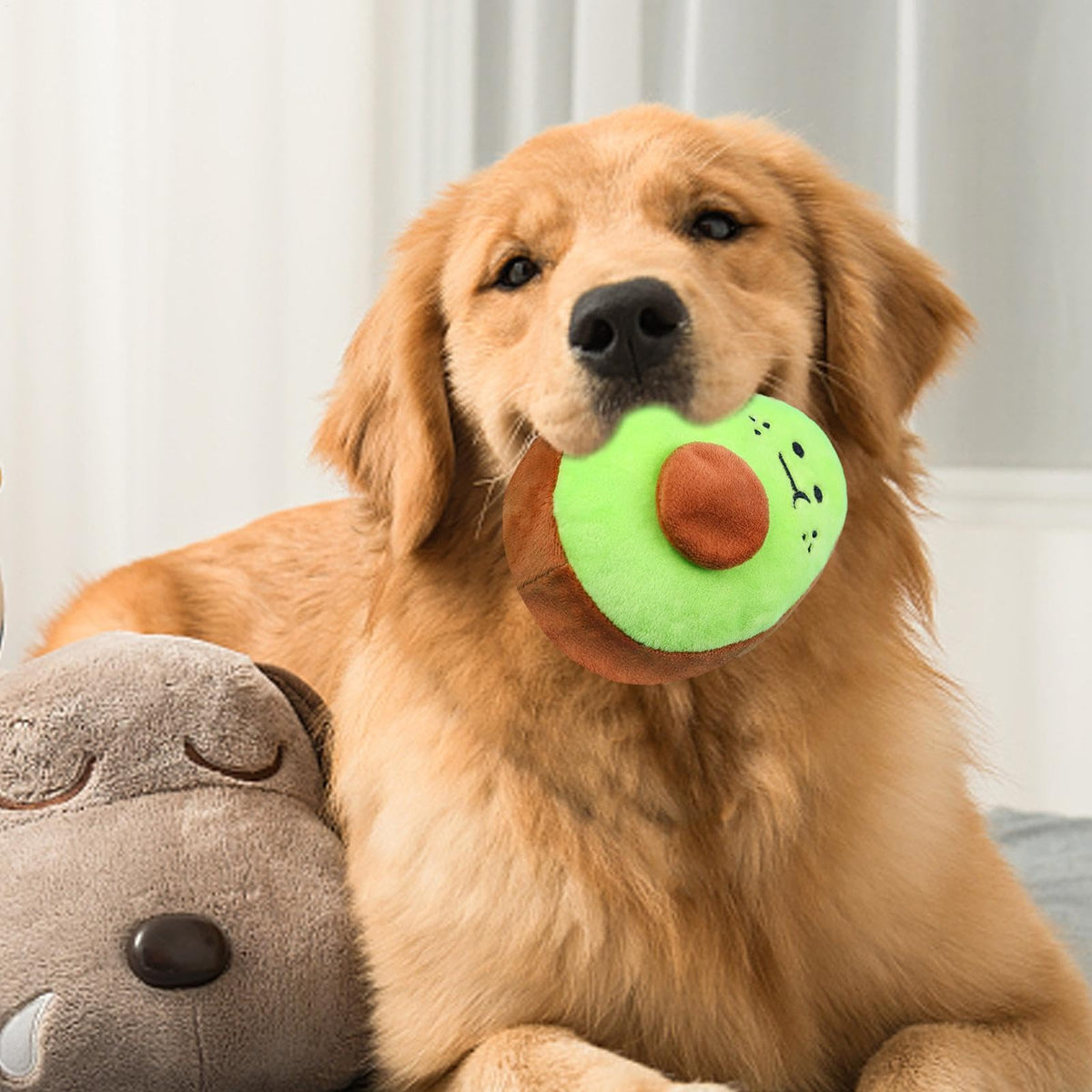 Bite Resistant Squeaky Stuffed Dog Toys H2330