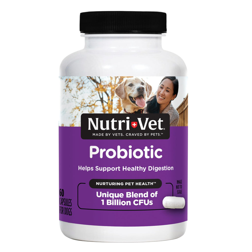 Probiotics for Dogs 60 Count R747