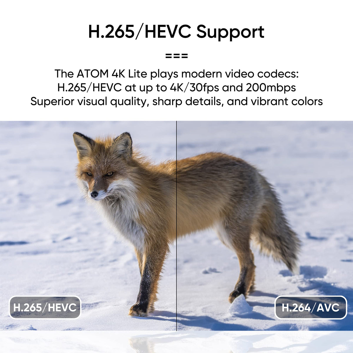 4K Media Player for USB Drives and SD Cards J899