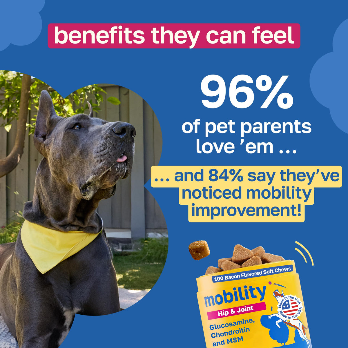 Hip and Joint Supplement for Dogs, 200 Soft Chews D2668