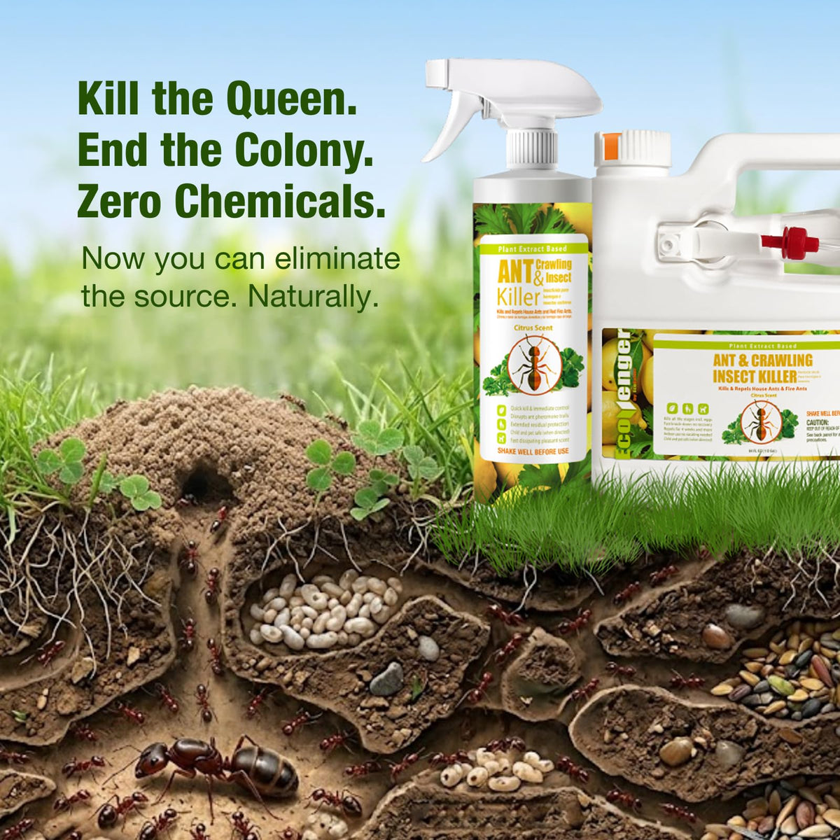 Plant-Based Insect Spray 16 OZ P676149