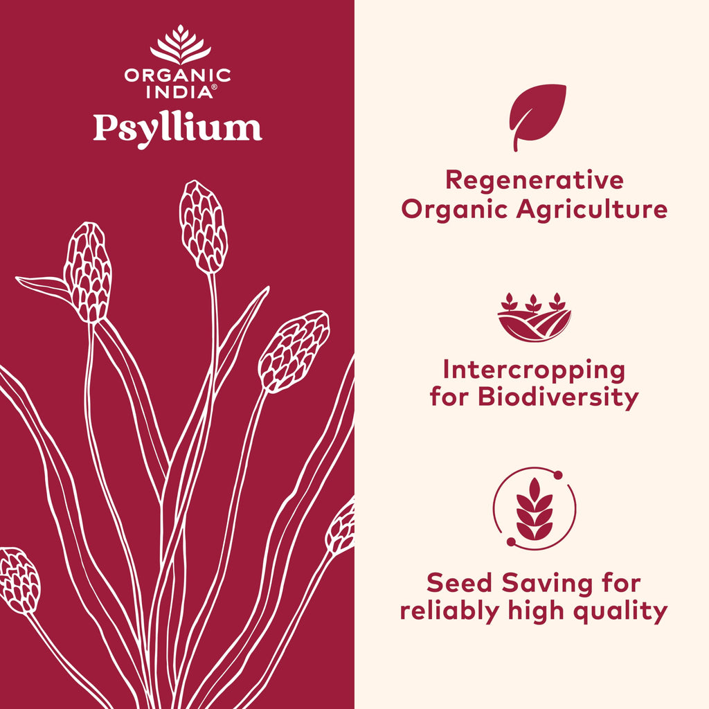 Psyllium Whole Husk Fiber Supplement 12 oz V941