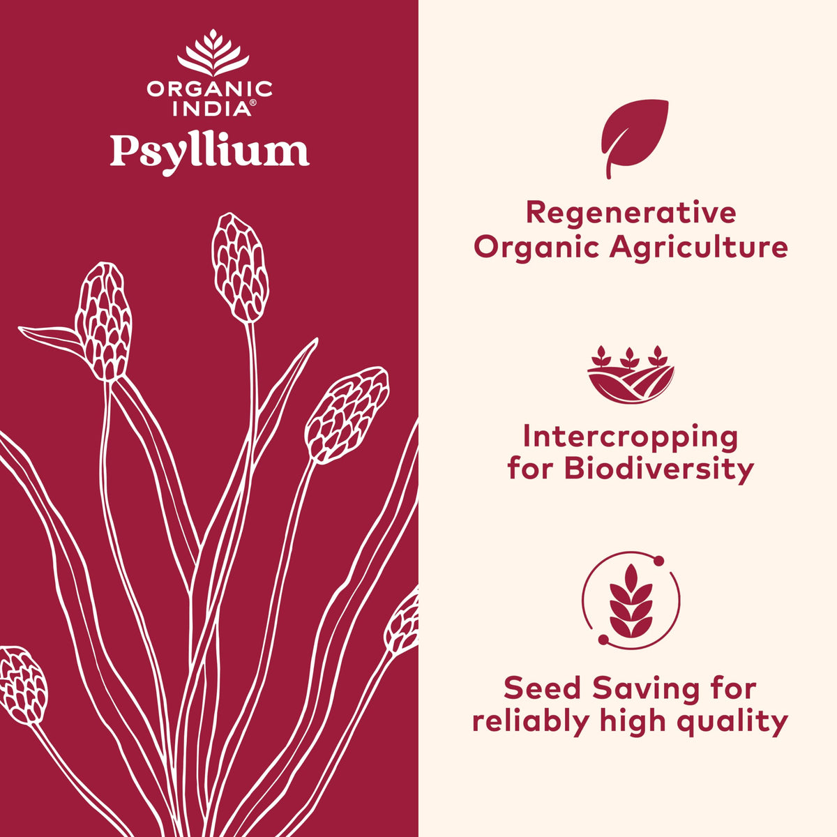 Psyllium Whole Husk Fiber Supplement 12 oz V941