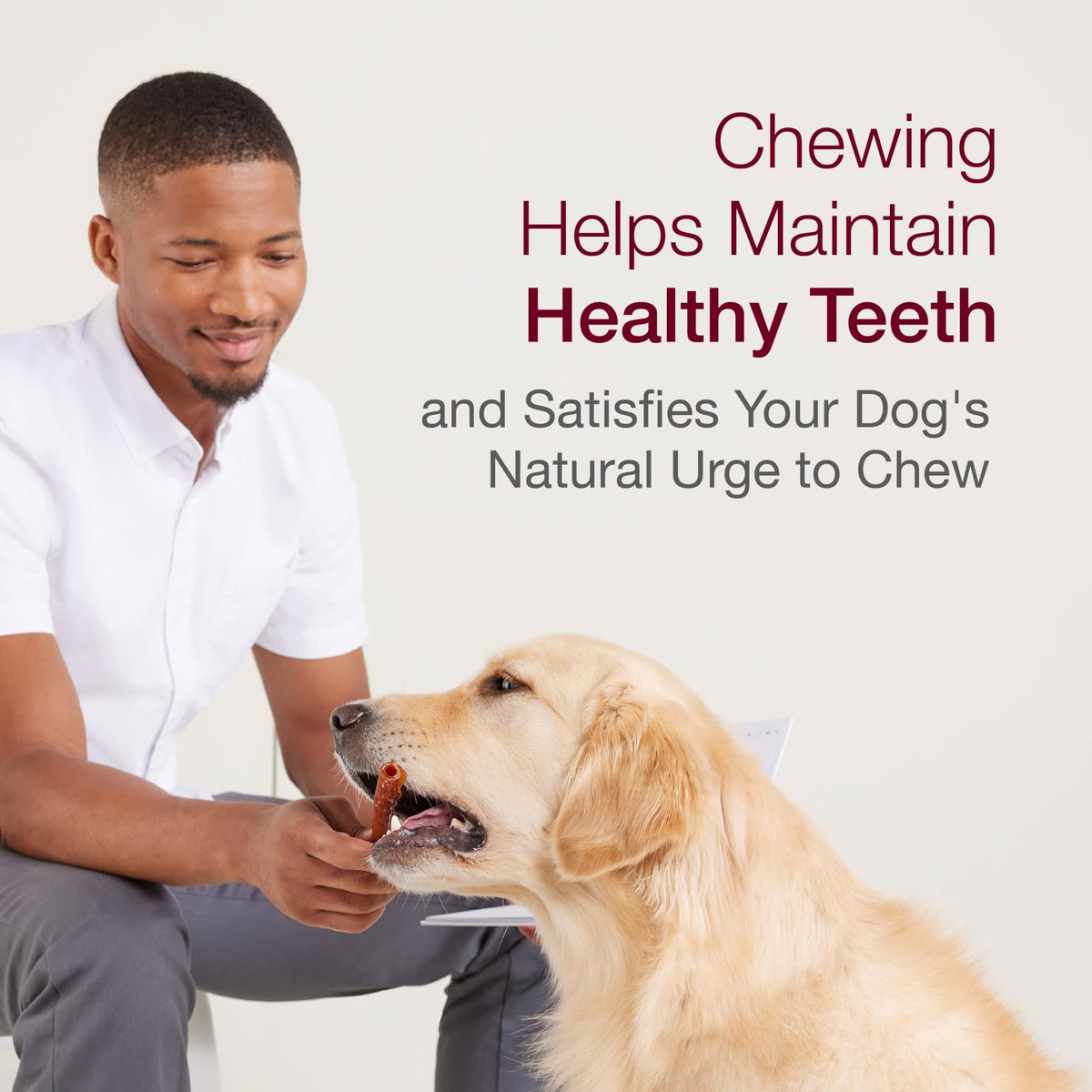 Medium Rawhide-Free Dog Treat with Peanut Butter, 4 Count J325133