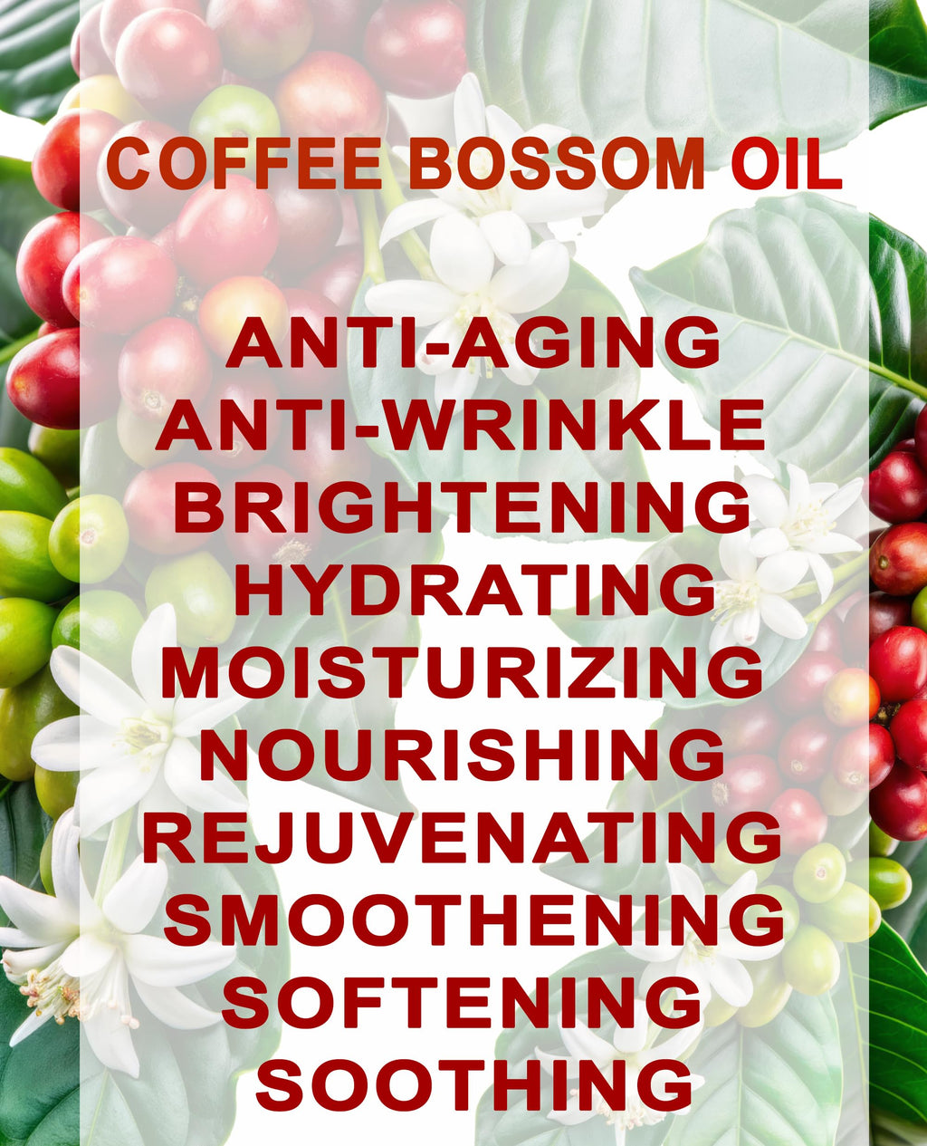 100% Natural Coffee Blossom Oil 1 Fl.oz. V50459