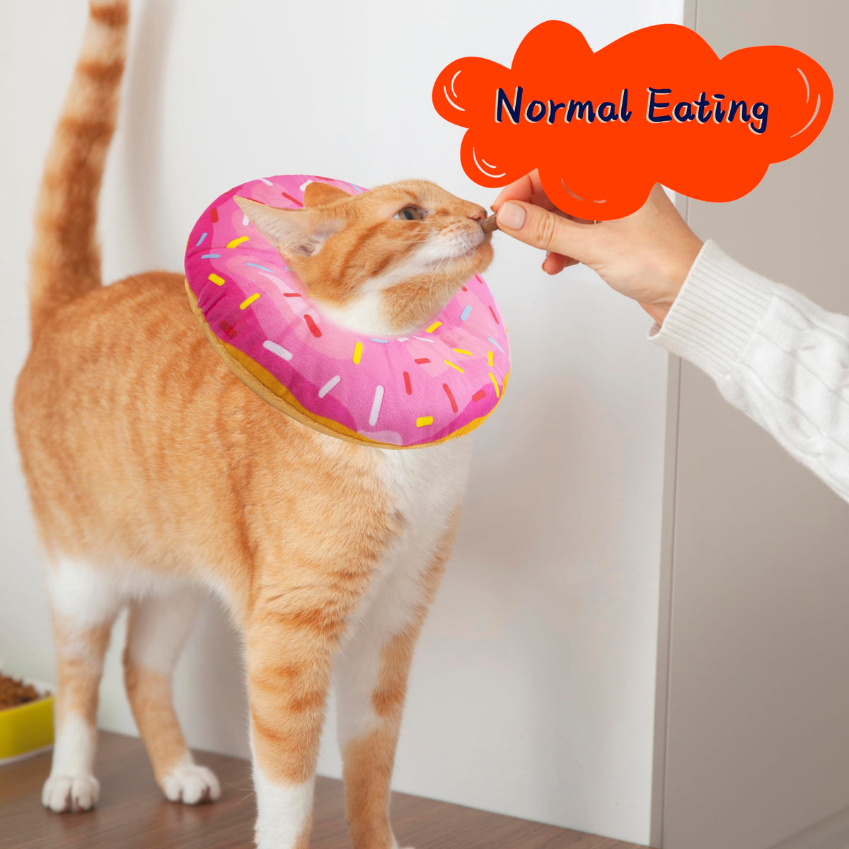 Adjustable Soft Cat Recovery Cone Collar R11693
