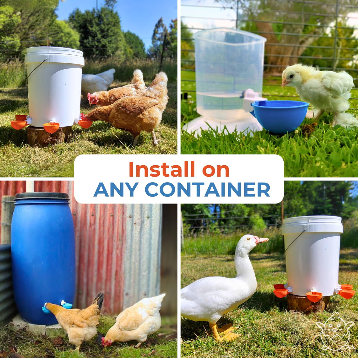 Blue Large Automatic Chicken Waterer Cups Pack of 5 E8763