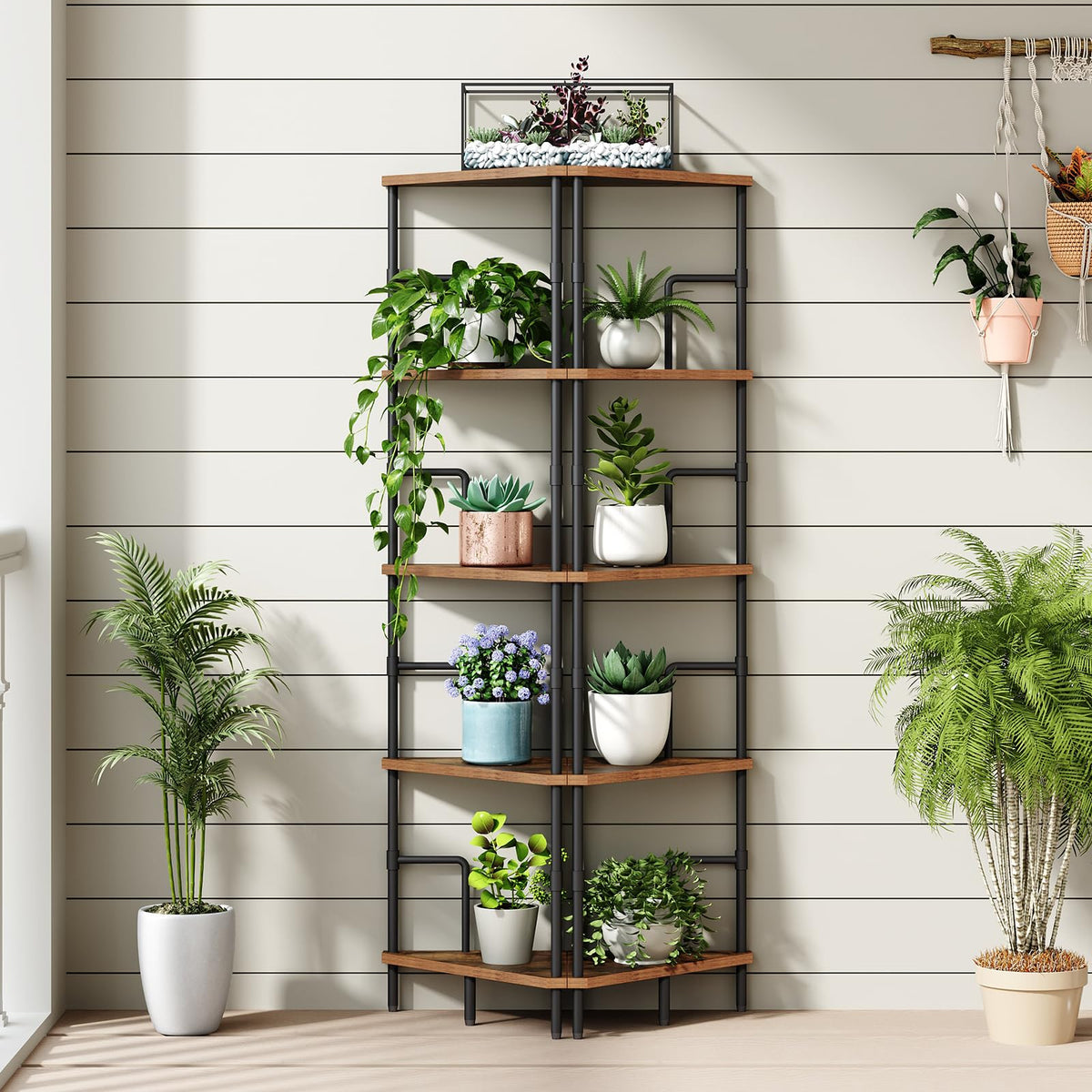5-Tier Tall Corner Bookshelf with Metal Frame O286
