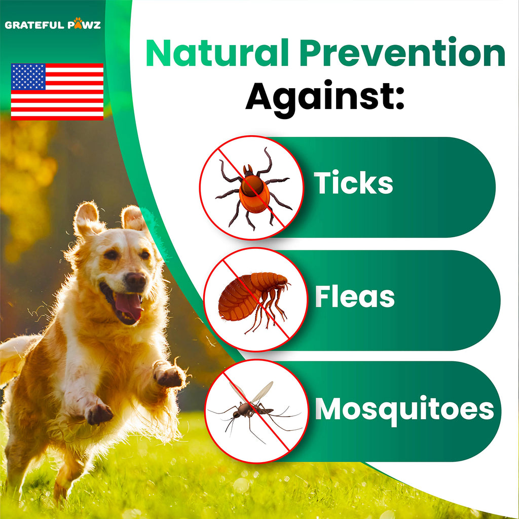 Flea and Tick Prevention for Dogs Chewables H385351