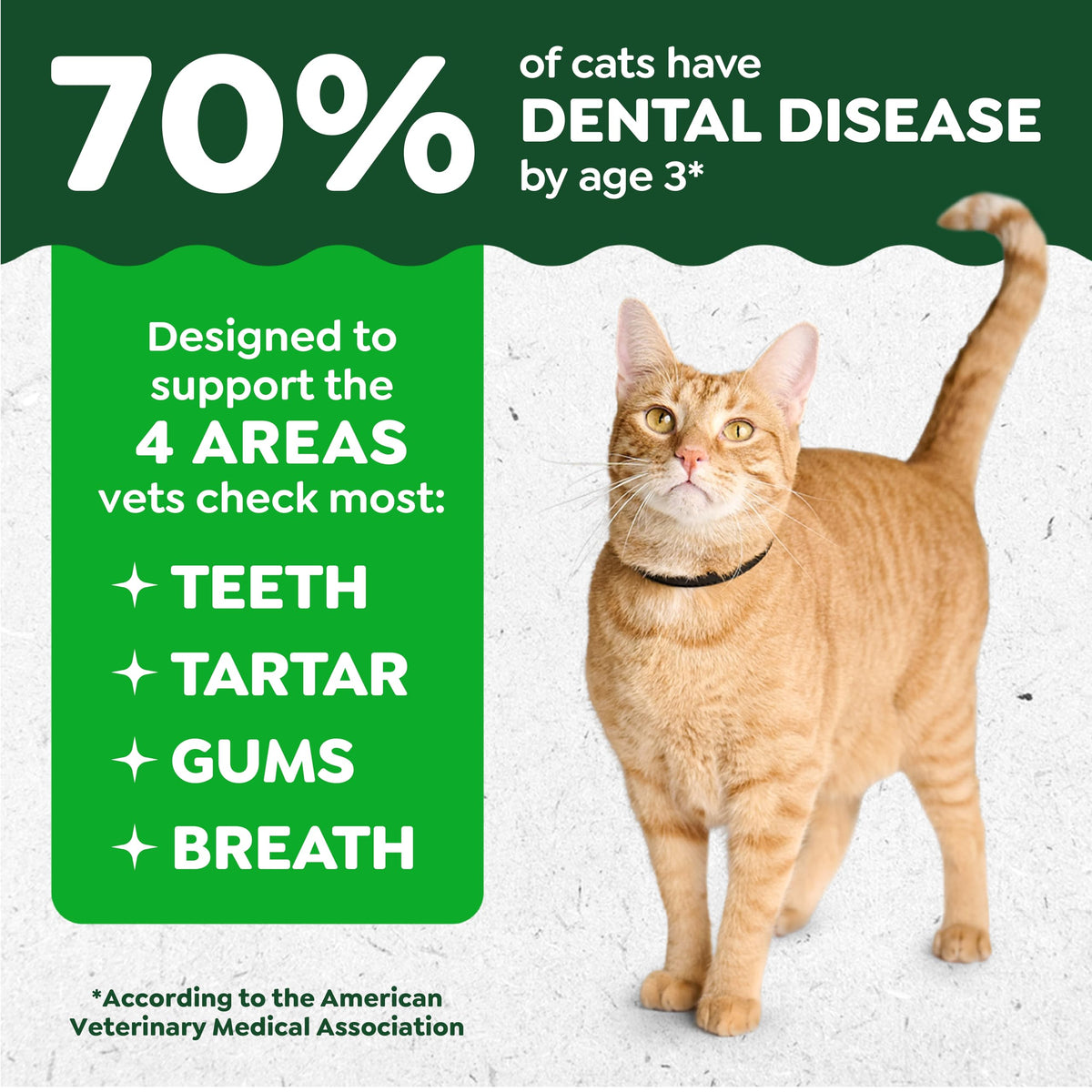 Catnip Flavor Dental Cat Treats 4.6 oz V79486