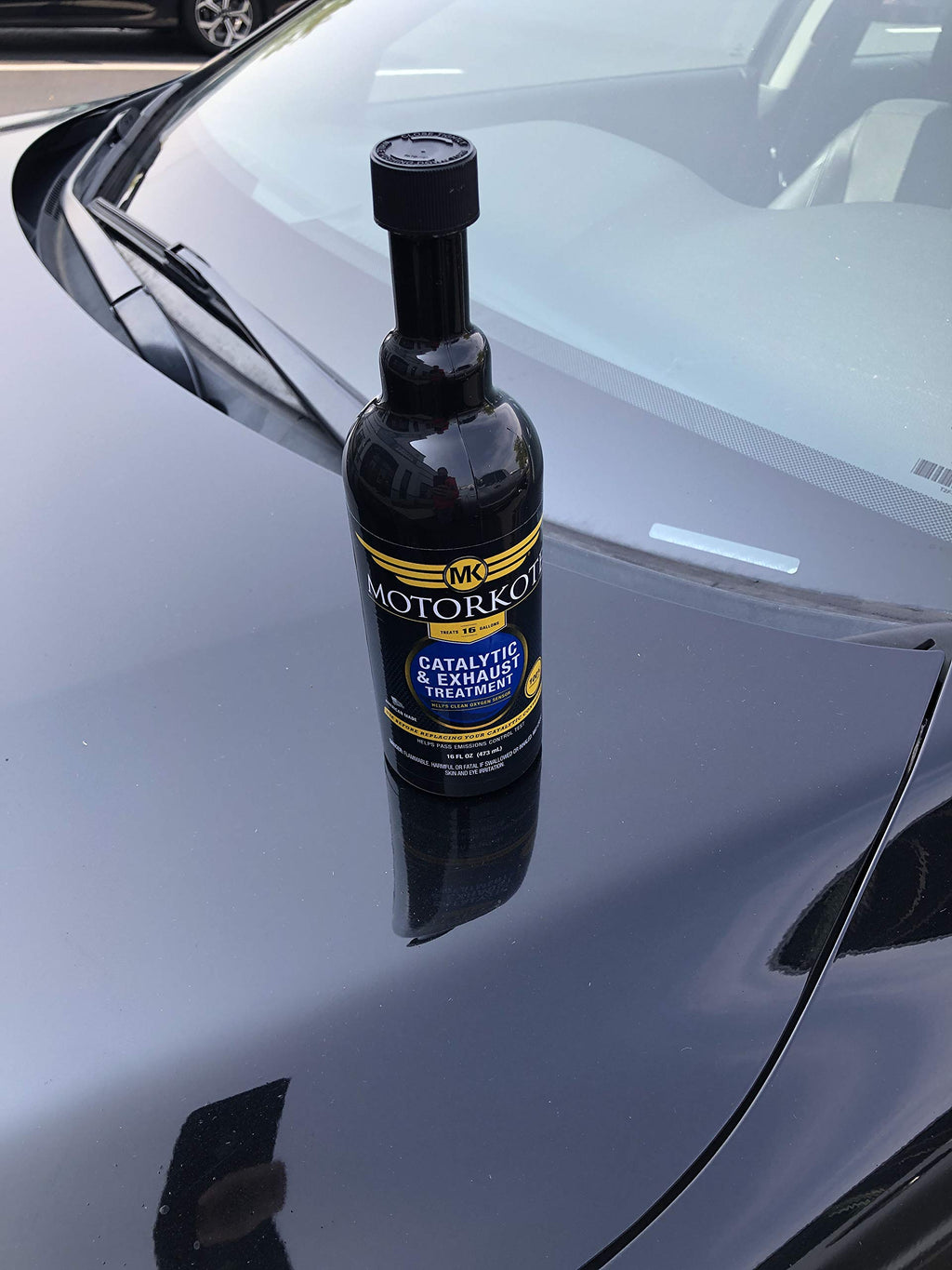16 oz. Catalytic and Exhaust Treatment H744048