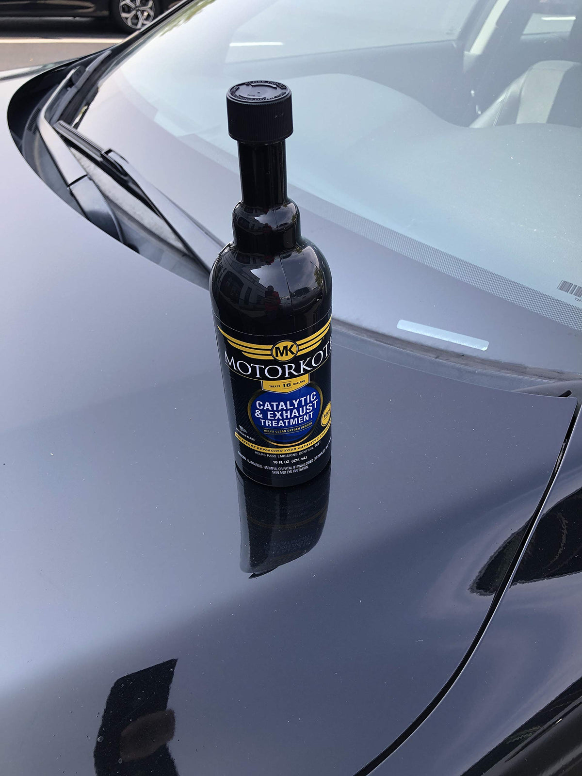 16 oz. Catalytic and Exhaust Treatment H744048