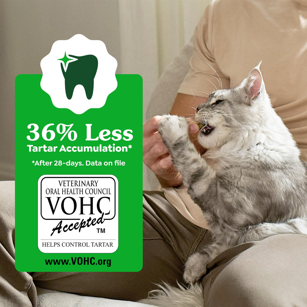 Catnip Flavor Dental Cat Treats 4.6 oz V79486