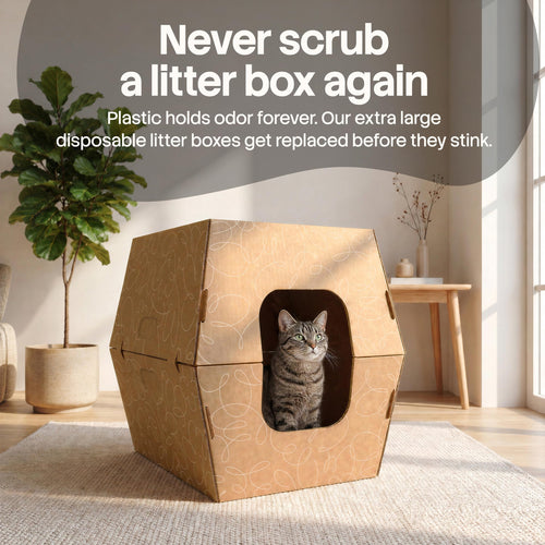 10 Pack Extra Large High Sided Leak Resistant Cardboard Cat Litter Boxes Q53025