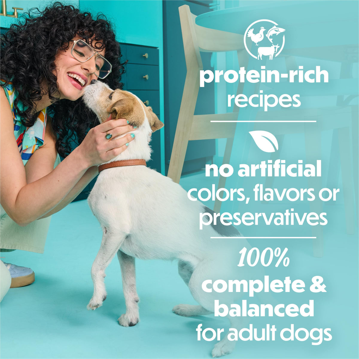 Small Breed Wet Dog Food Variety Pack, 30 3 oz Cans F21239