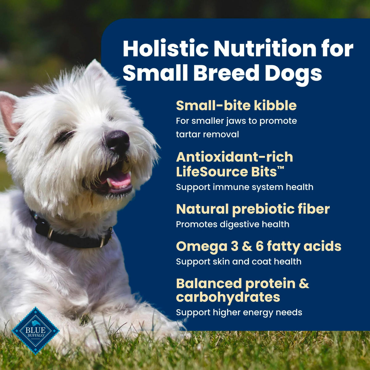 Chicken Small Breed Dry Dog Food, 5 lb J153124