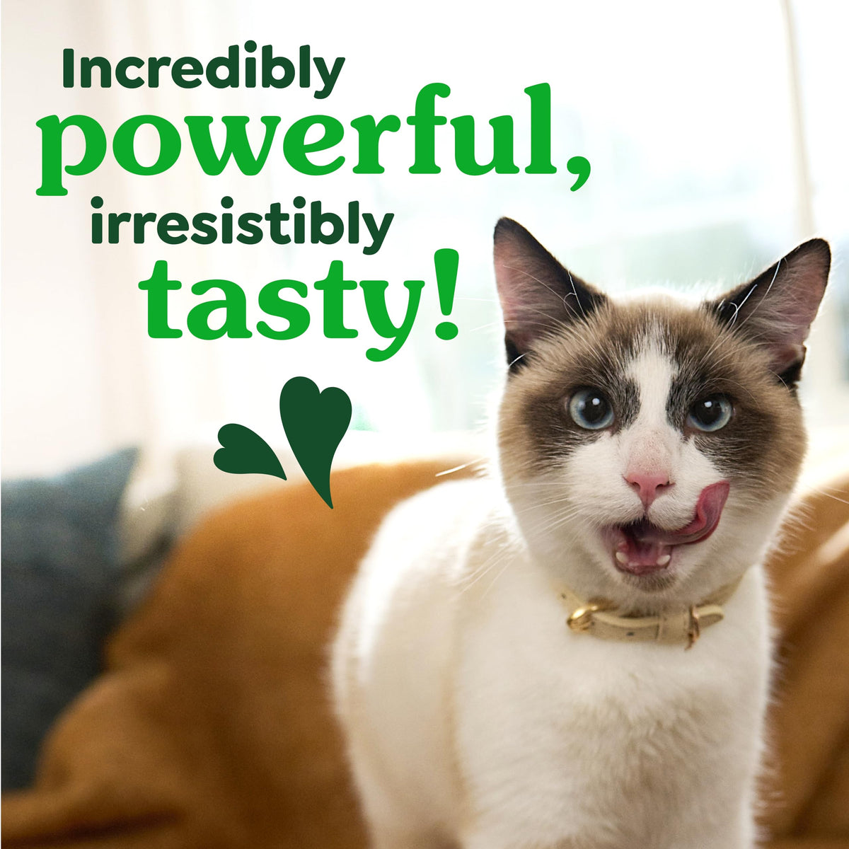 Catnip Flavor Dental Cat Treats 4.6 oz V79486