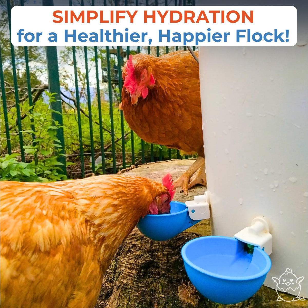 Blue Large Automatic Chicken Waterer Cups Pack of 5 E8763