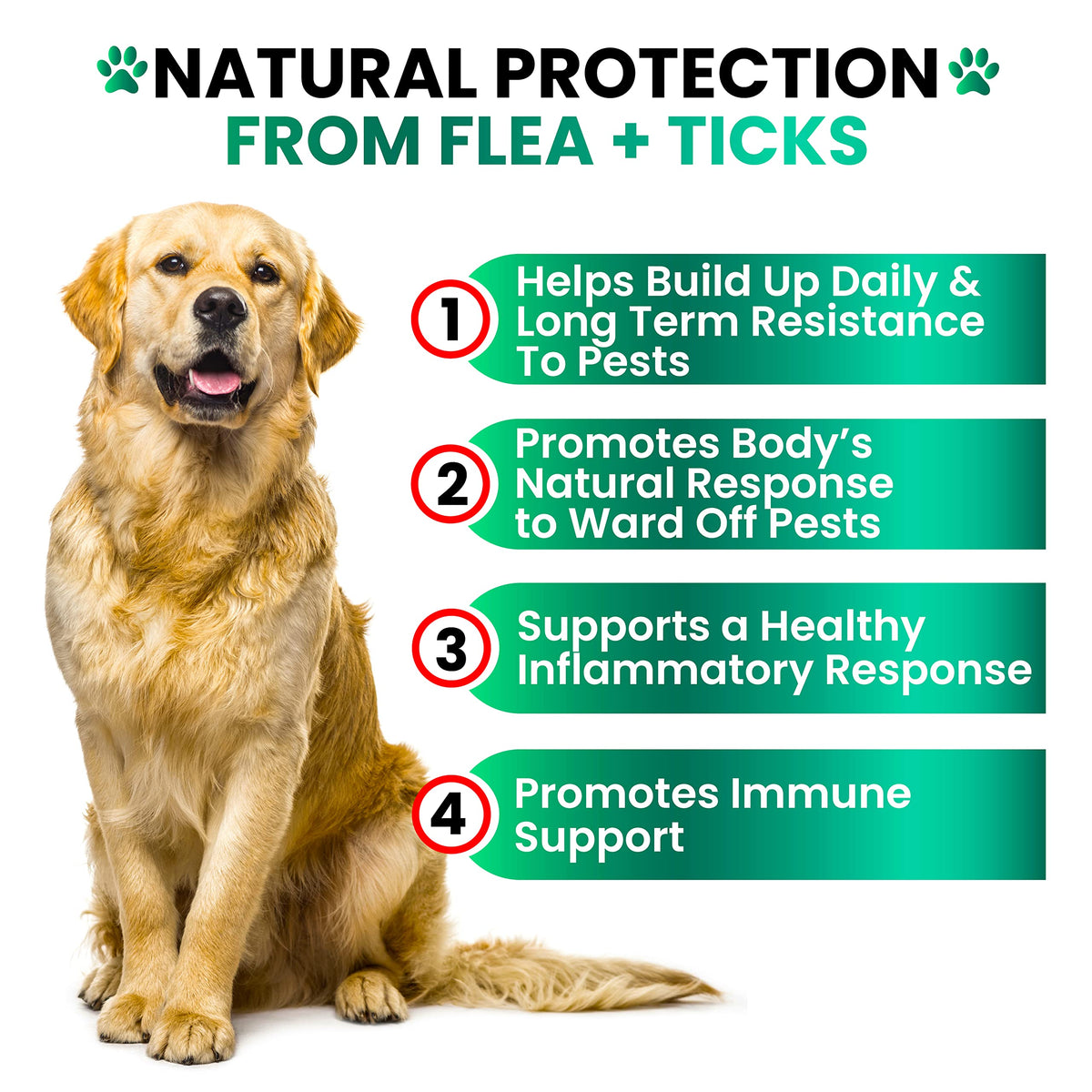 Flea and Tick Prevention for Dogs Chewables H385351