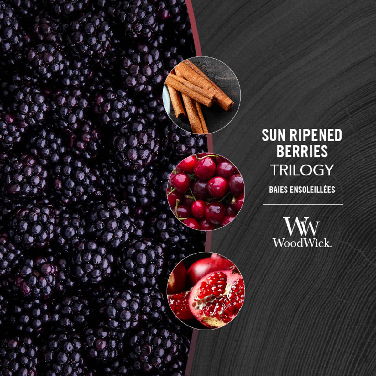Scented Trilogy Candle with Crackling Wick D65741