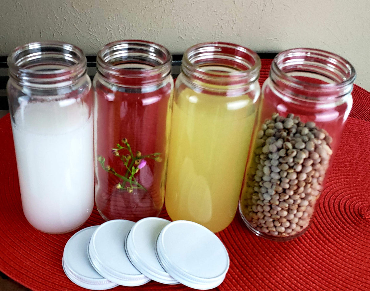 Wide Mouth Glass Bottle Jar 16 oz M86042