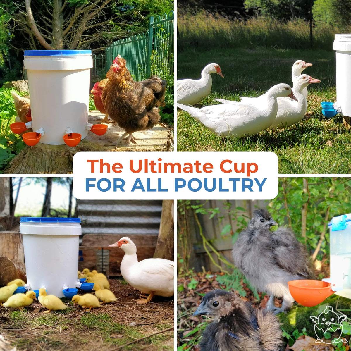 Blue Large Automatic Chicken Waterer Cups Pack of 5 E8763