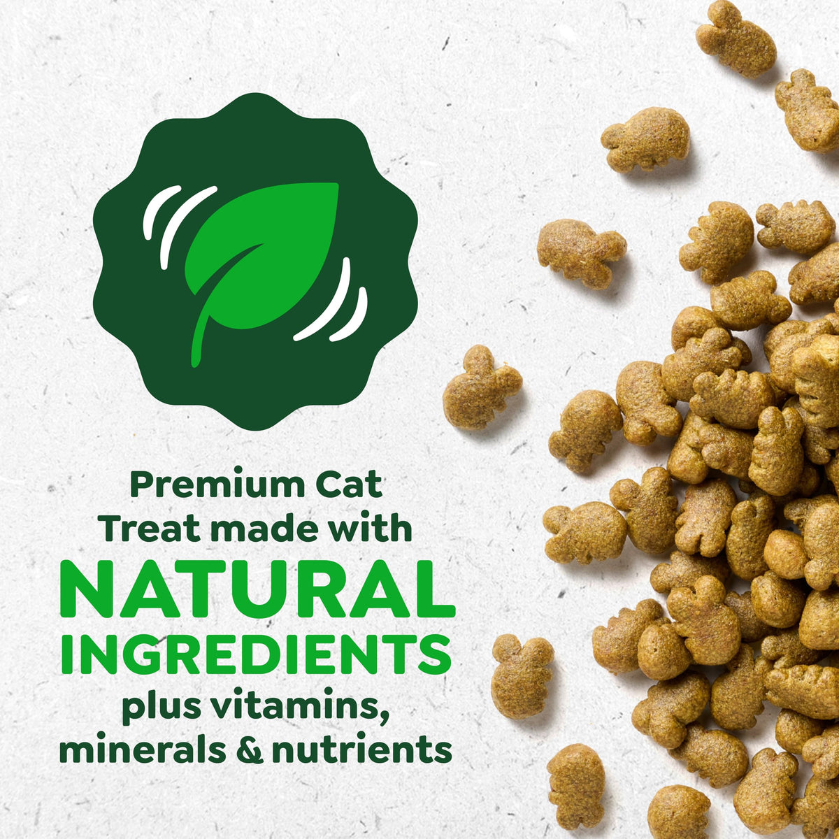 Catnip Flavor Dental Cat Treats 4.6 oz V79486