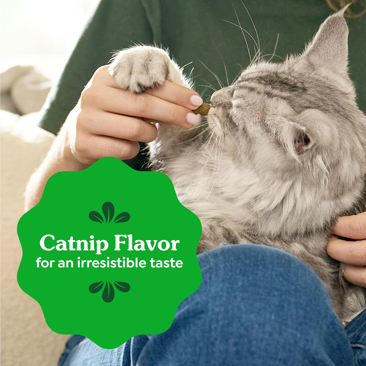 Catnip Flavor Dental Cat Treats 4.6 oz V79486
