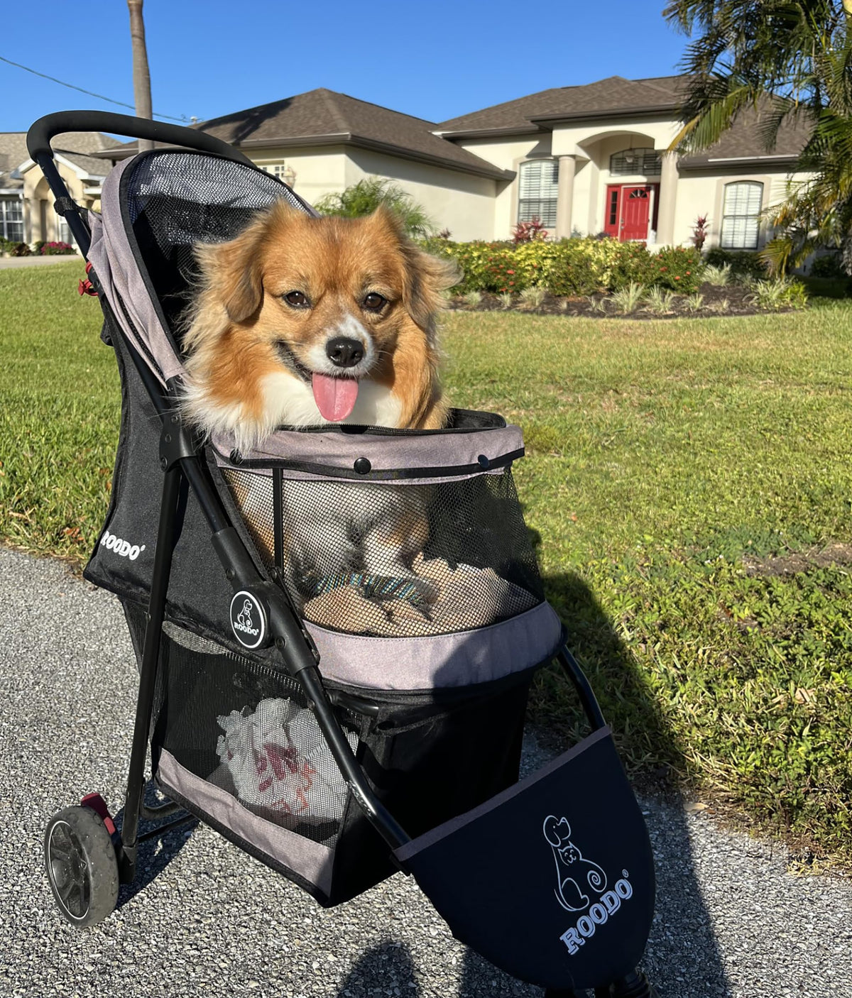 3 Wheel Pet Stroller I73971